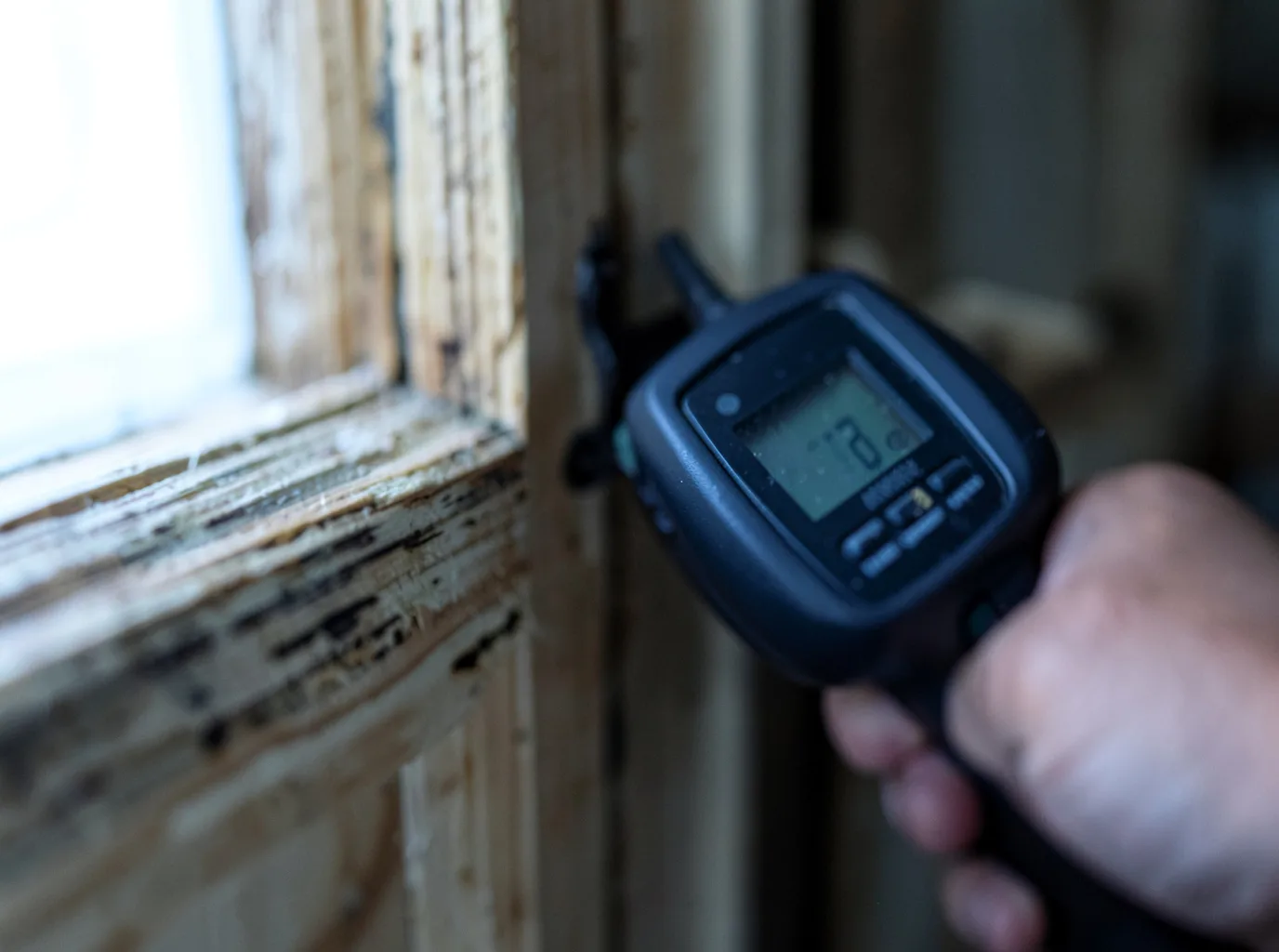 Commercial Water Damage Restoration in Polebridge, MT